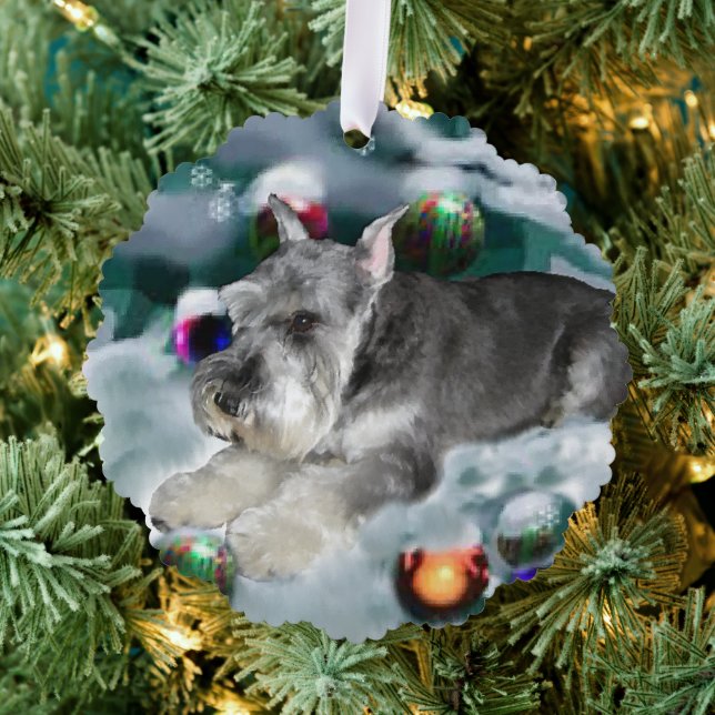 Carte Décorative Cadeaux de Noël Schnauzer Miniature (Insitu (Arbre))