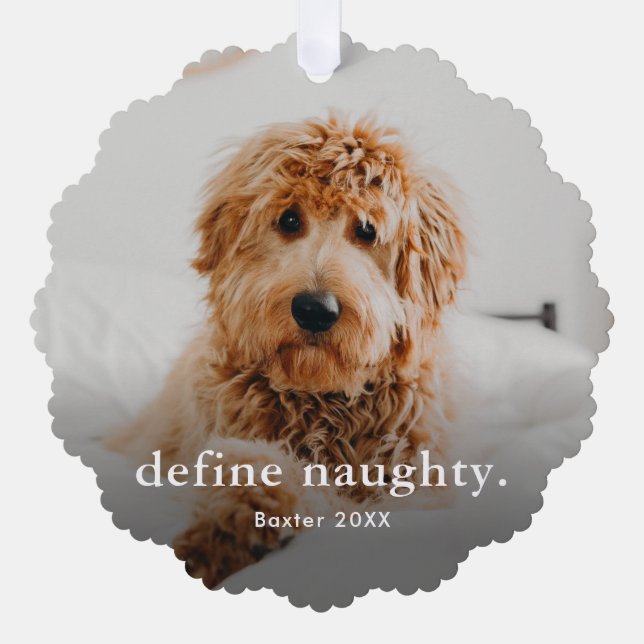 Carte Décorative Funny Pet 2 Photo Noël (Recto)