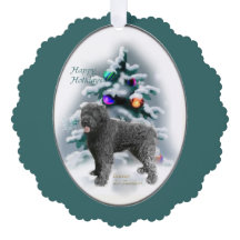 Noël Bouvier des Flandres