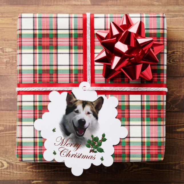 Carte Décorative Noël de Malamute en Alaska (Insitu (Cadeau))