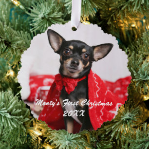 Carte Décorative Pet Premier Noël