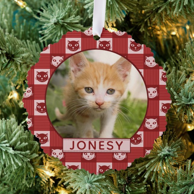 Carte Décorative Photo et nom personnalisés du chat Empreinte de pa (Insitu (Arbre))