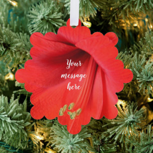 Carte Décorative Red Amaryllis, photo de conservation des fleurs