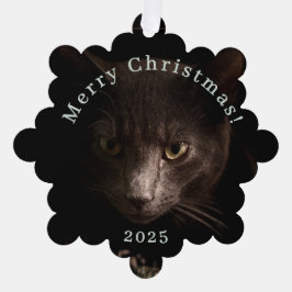 Carte Décorative Tag de Noël de chat noir et