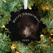 Tag de Noël de chat noir et
