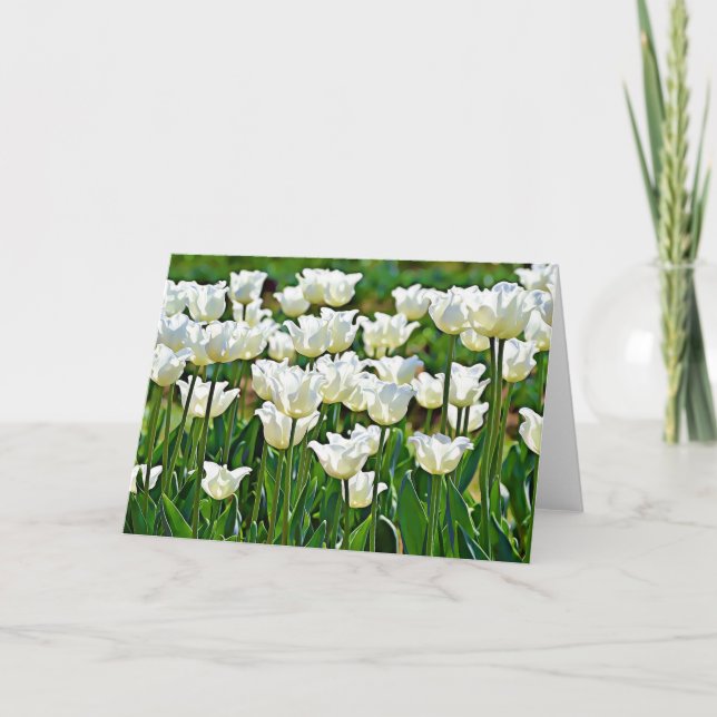 Carte d'écriture des tulipes blanches John 1:16 (Devant)
