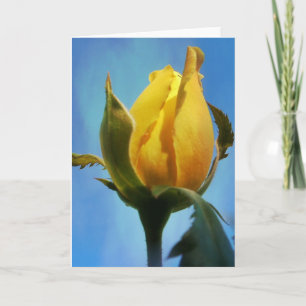 Carte d'écriture rose jaune Lamentations 3:22-23