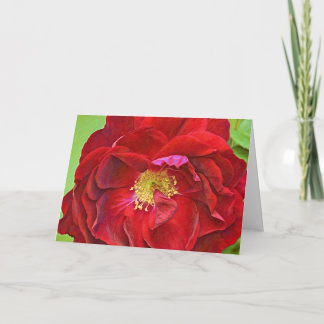 Carte Deep Red Rose Art (Devant)