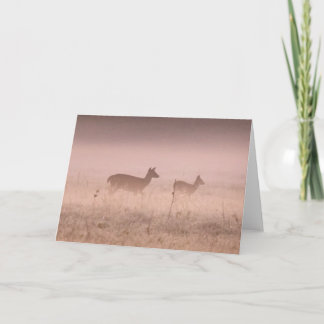 Carte Deer at Dawn