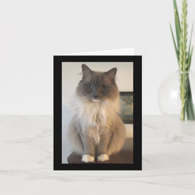 Carte Définition de CAT (Devant)