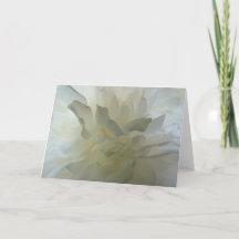 Délice sensuel AH2010