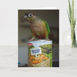 Carte delicimandarin