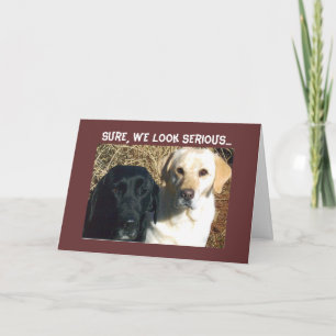 CARTE DEMANDEZ BIENTÔT DES TRAITÉS BIEN SOUHAITÉS