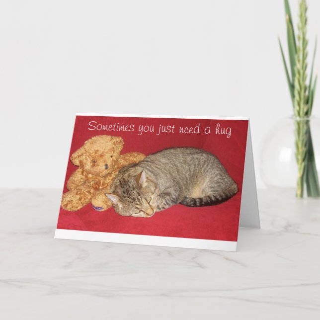 Carte d'encouragement avec chat et ours en peluche (Devant)