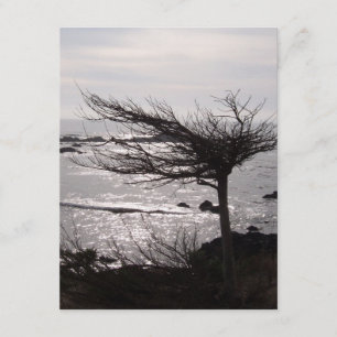 Carte d'encouragement de vers de bible d'arbre