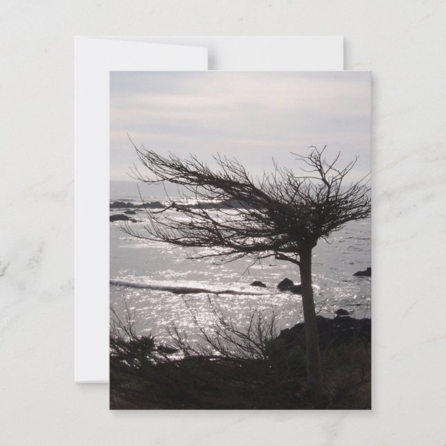 Carte d'encouragement de versets de la Bible Océan (Devant)