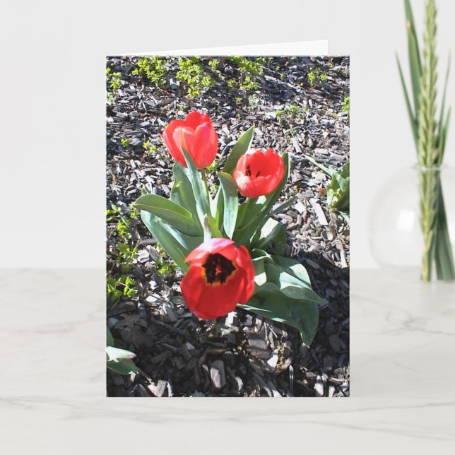 Carte d'encouragement inspirationnelle pour les fê (Devant)