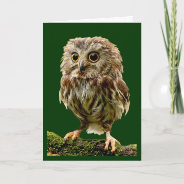Carte d'encouragement Lil Owl (Devant)