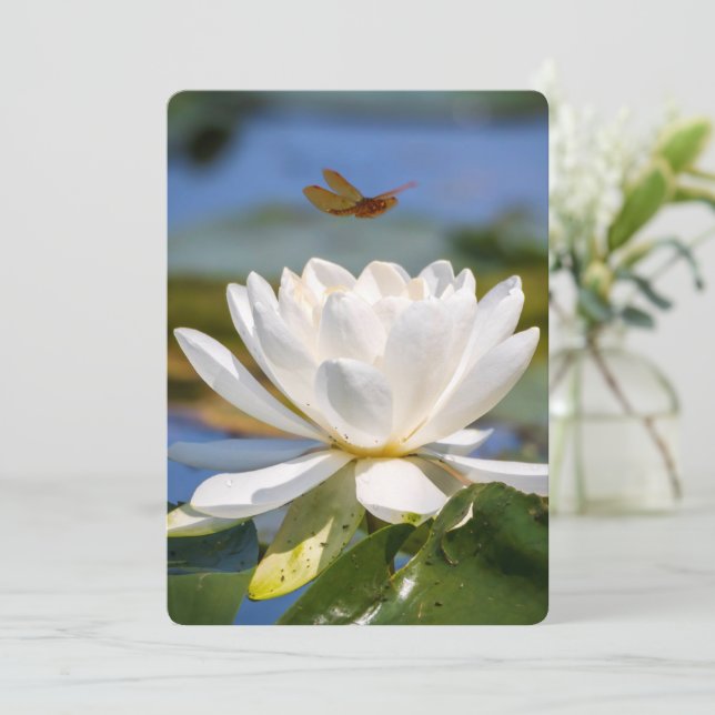 Carte d'encouragement : Pas de boue, pas de lotus (Debout devant)