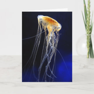 Carte - dentelle de dérive