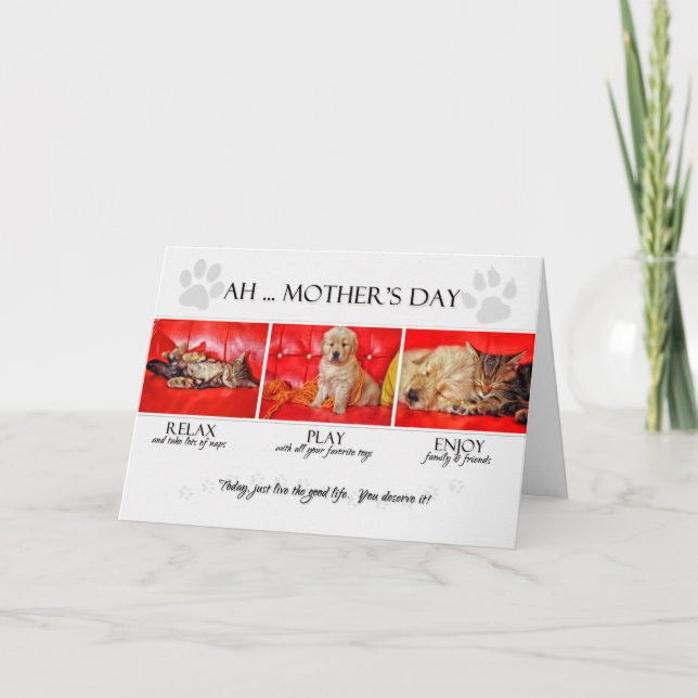 Carte des animaux de compagnie à la fête des mères Fun K (Devant)