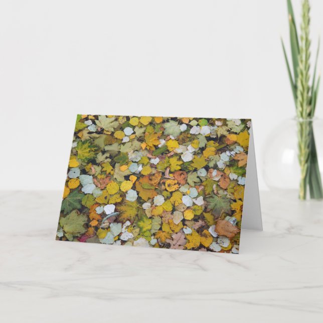 Carte Des feuilles d'arbres tombés en Lettonie. (Devant)