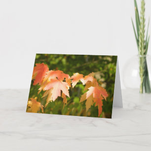 Carte des feuilles d'automne lumineuses