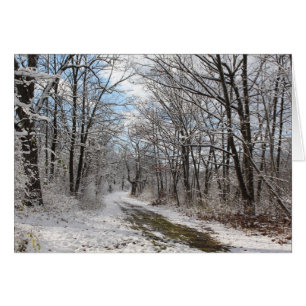 Carte des merveilles d'hiver