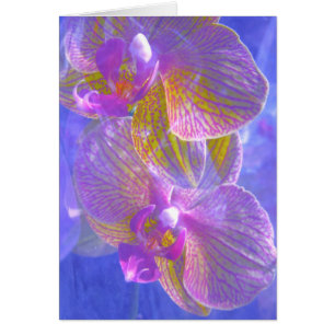 Carte des orchidées 2