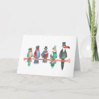 Des perroquets fantaisistes et une douce Toucan vi