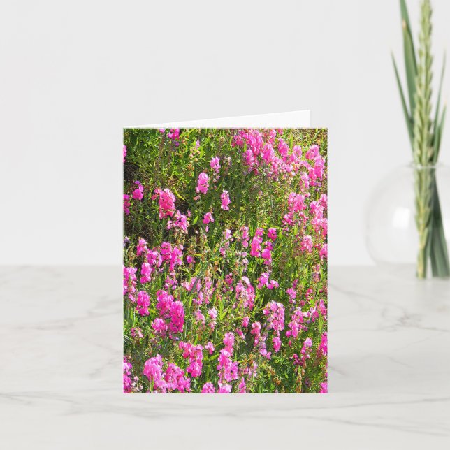 Carte Des pois doux sur la colline... (Devant)