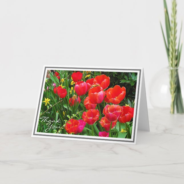 Carte Des tulipes rouges brillantes contre le feuillage  (Devant)