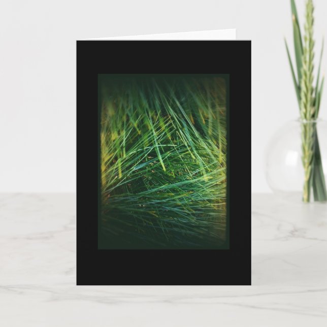 Carte des vacances d'hiver 1 (Devant)