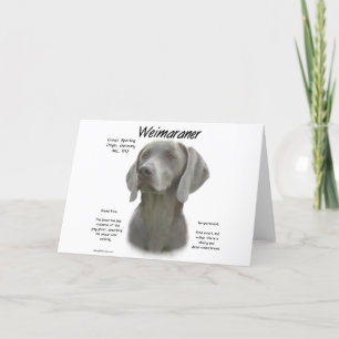 Carte Design historique Weimaraner