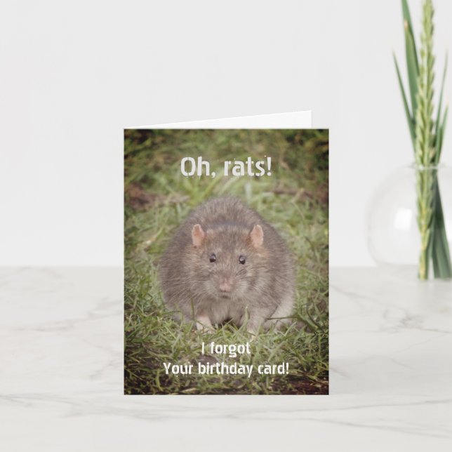 Carte Désolé anniversaire manqué tardivement - rats (Devant)