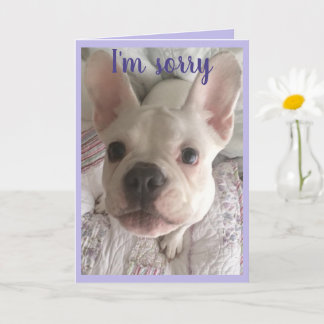Carte Désolé HANGRY Card French Bulldog Puppy Pastel