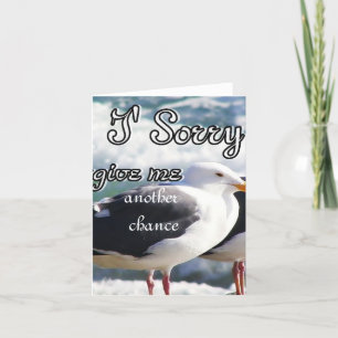 Carte Désolé, Pardonne-Moi_