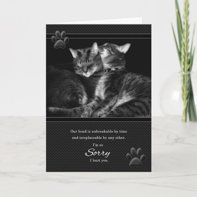 Carte Désolé, Pardonne-moi Tabby Cats, s'il te plaît (Devant)