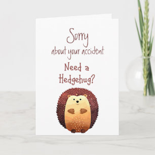 Carte Désolé pour Accident Flowers Fun Hedgehog Hug