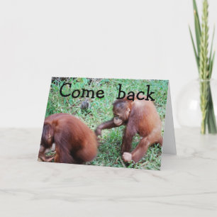 Carte Désolé : Retrouvons-nous ensemble