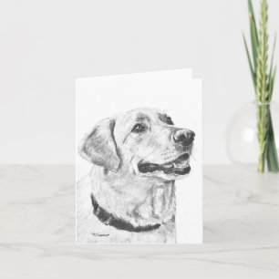 Carte Dessin Labrador Retriever