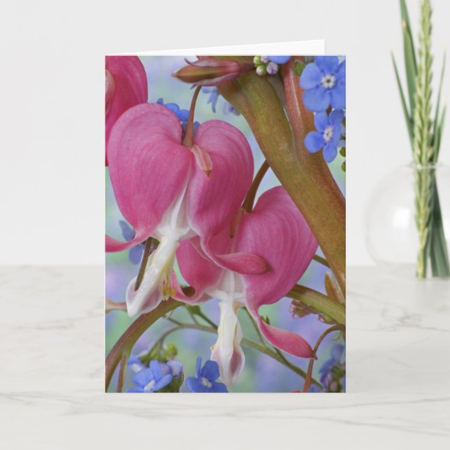 Carte Détail des coeurs saignants et Brunnera Jack (Devant)