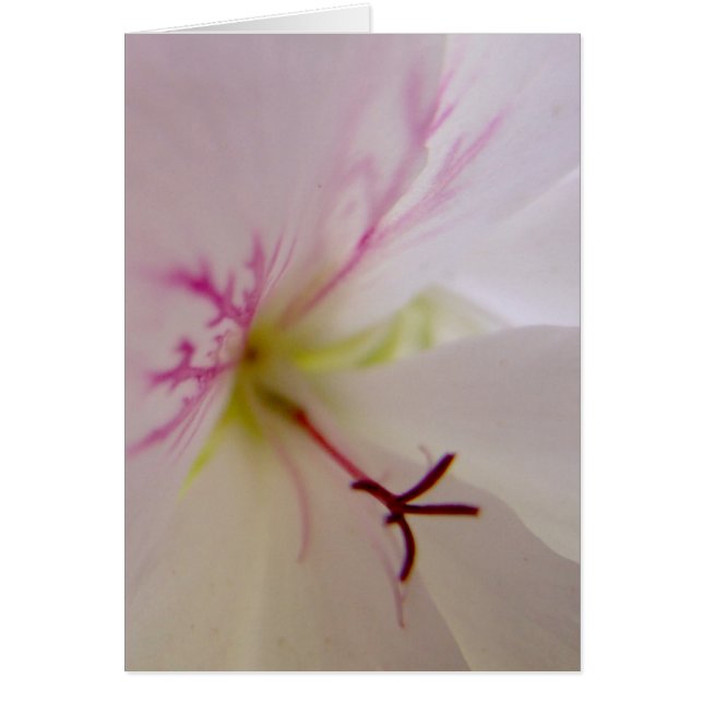 Carte Détail du géranium (Devant)