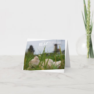 Carte Détendez-vous dans la nature avec le moulin hollan