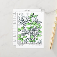 Carte d'étude sur les plantes d'épices de persil M