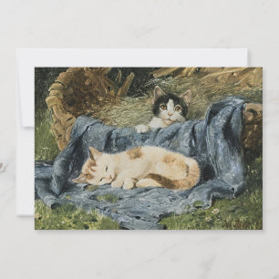 Carte Deux chatons   Julius Adam le Jeune