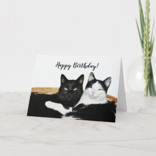 Carte Deux chats amoureux