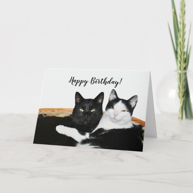 Carte Deux chats amoureux (Devant)