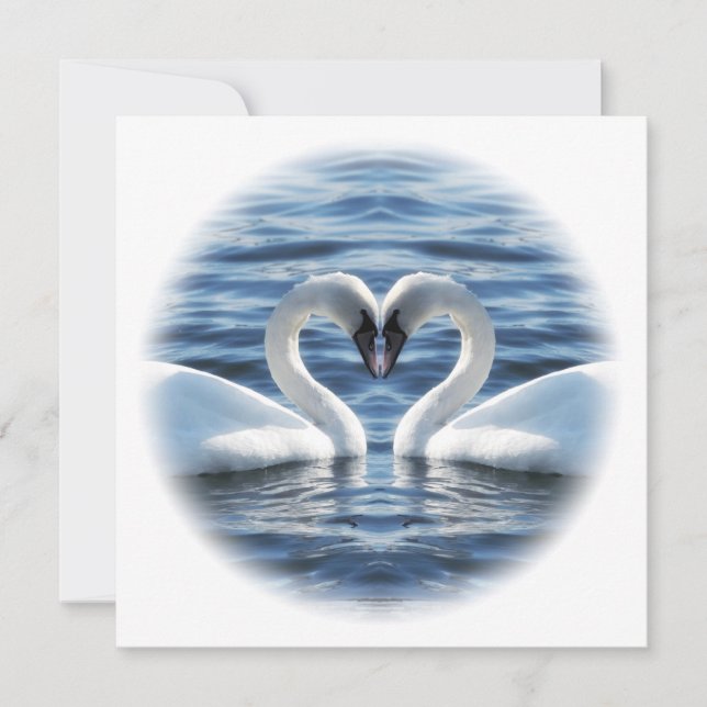 Carte Deux cygnes amoureux (Devant)