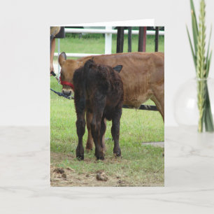 Carte Deux entrées de spectacles de boeuf